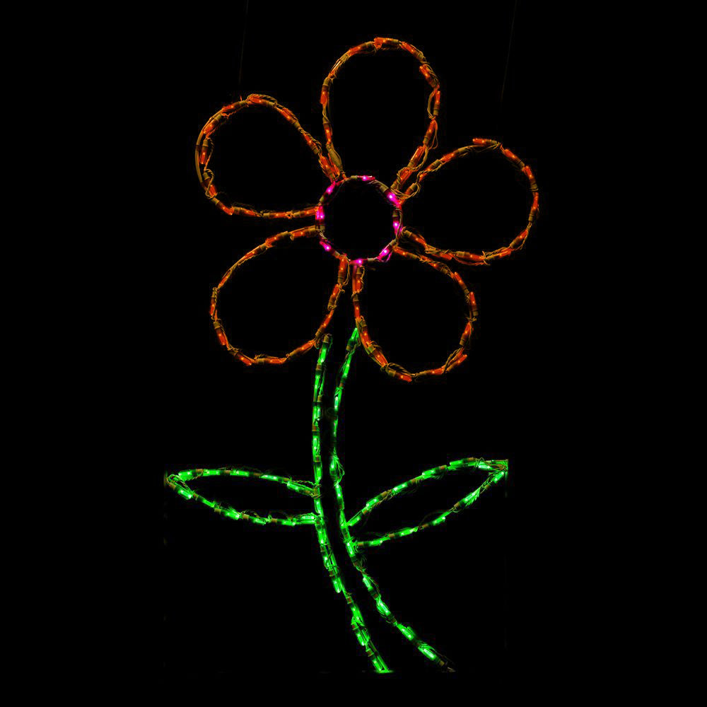 LED Daisy