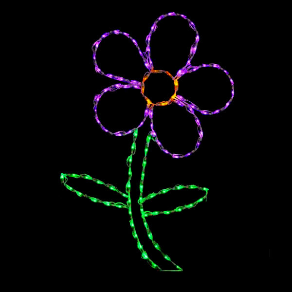 LED Daisy