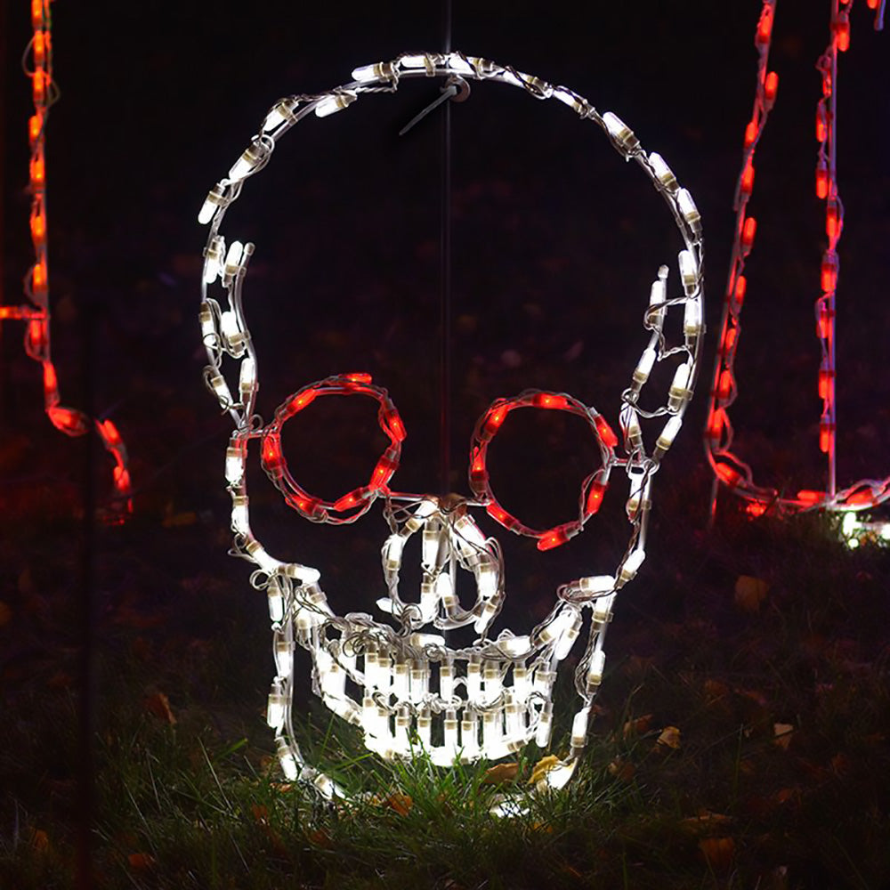 Skull Led LED Skull – Holiday Lites Up